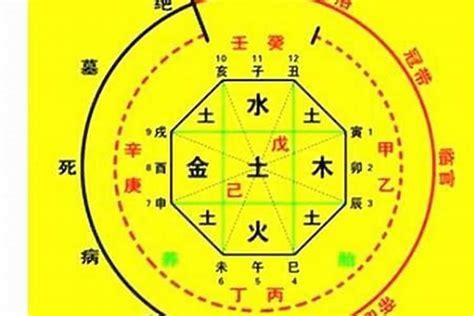 喜用金土|八字喜用神金土(喜用神是金土怎么旺自己)